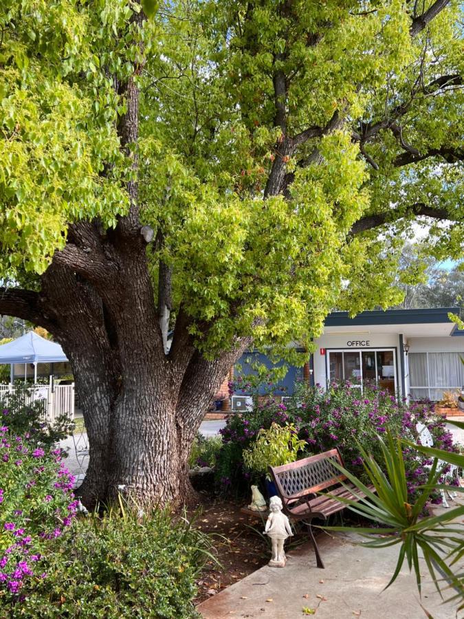 Sturt Motel Balranald Buitenkant foto